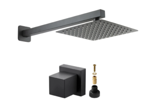 Chuveiro Ducha Inox Gás ou Solar 20×20 Preto + 1 Acabamento Para Registro Docol